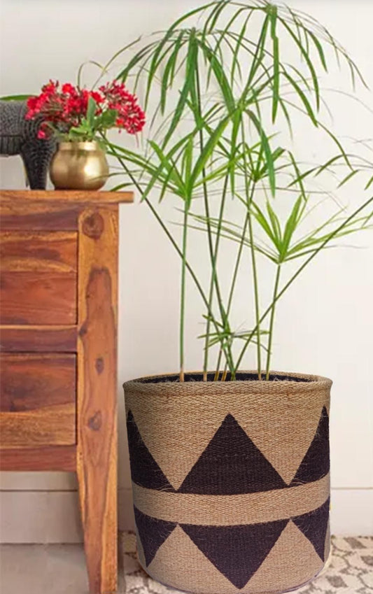 Plant Basket